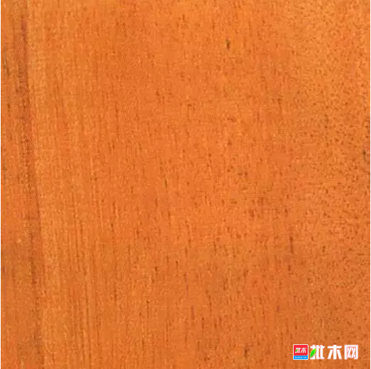 批木网 anywood.com