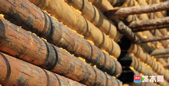 批木网 anywood.com 