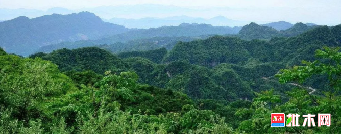 批木网anywood.com