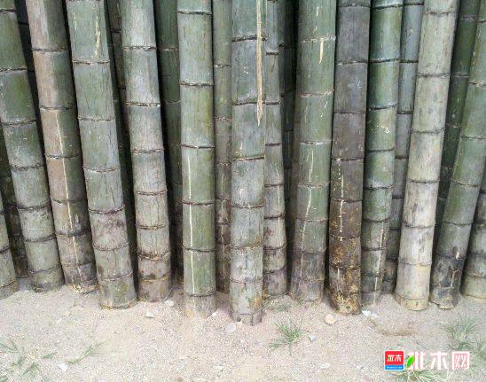 批木网 anywood.com