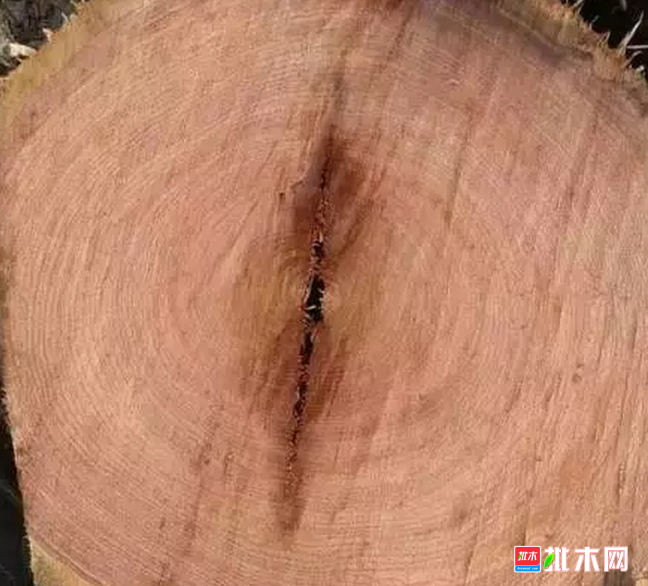 批木网  anywood.com