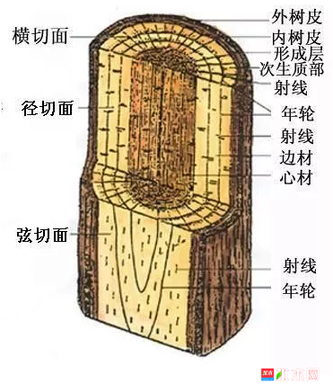 批木网  anywood.com
