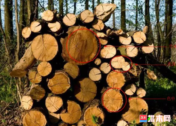 批木网   anywood.com