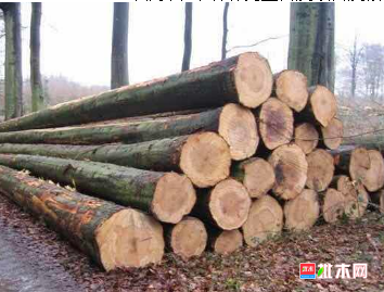 批木网  anywood.com
