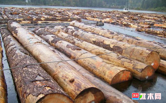 批木网 anywood.com