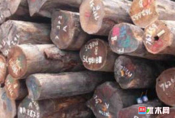 批木网 anywood.com