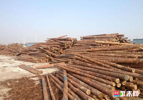 批木网 anywood.com