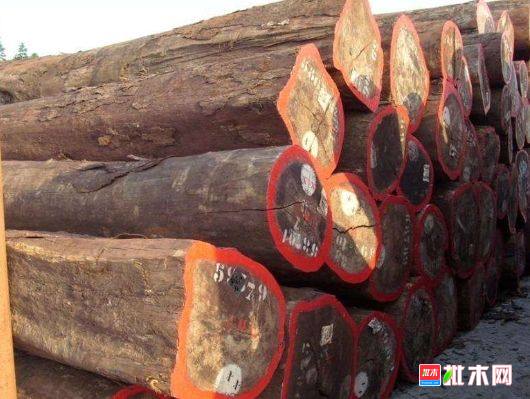 批木网 anywood.com