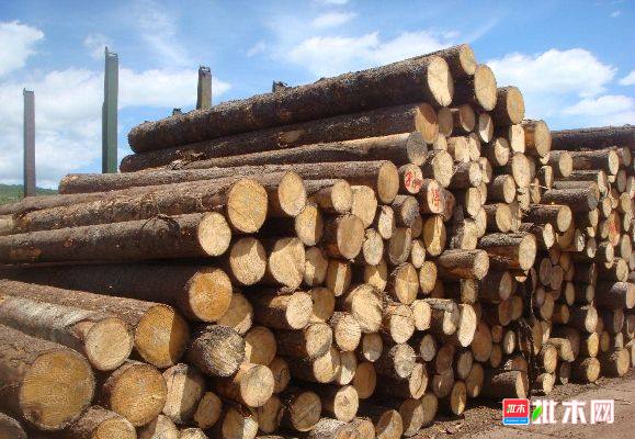 批木网 anywood.com