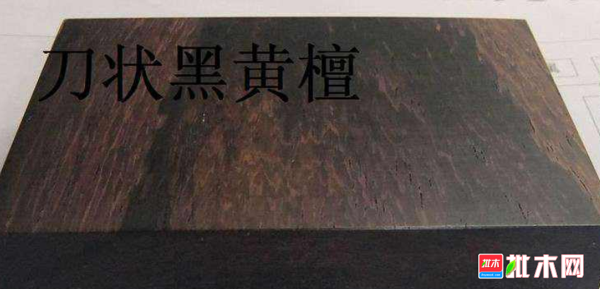 批木网  anywood.com