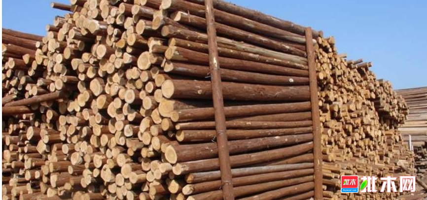 批木网  anywood.com