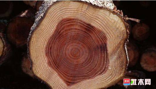 批木网 anywood.com