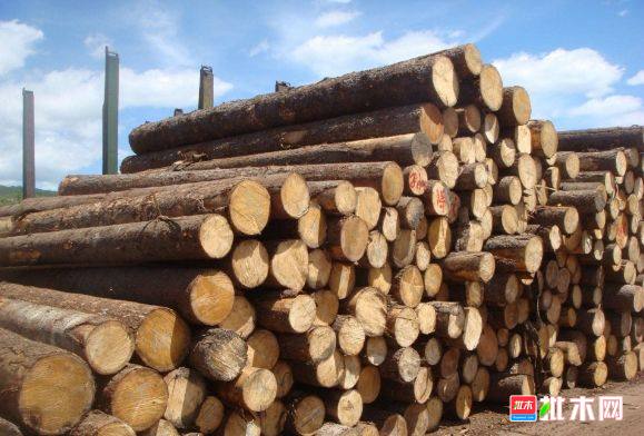 批木网 anywood.com