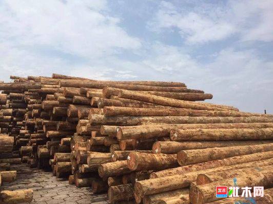 批木网 anywood.com