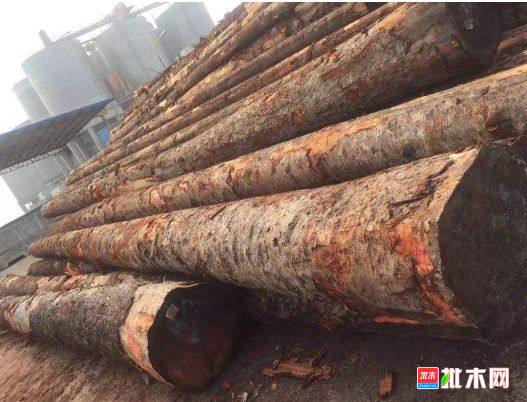 批木网 anywood.com