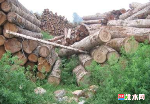 批木网  anywood.com