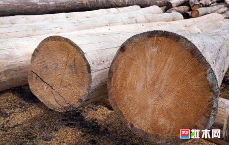批木网 anywood.com
