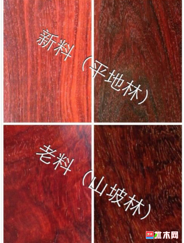 批木网  anywood.com