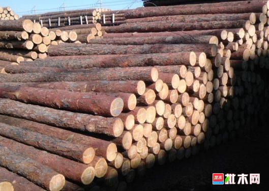 批木网 anywood.com