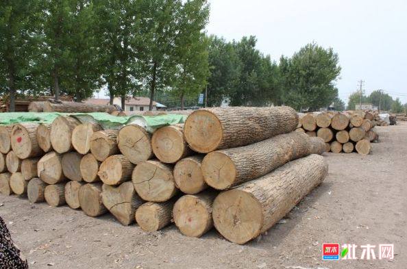 批木网 anywood.com
