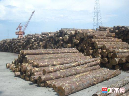 批木网 anywood.com
