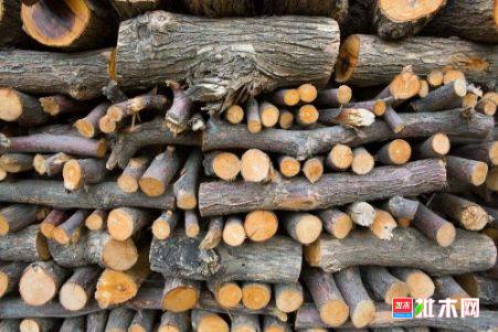 批木网 anywood.com