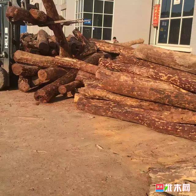 批木网  anywood.com