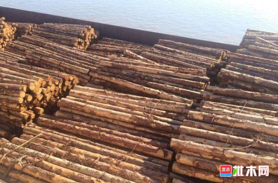 批木网 anywood.com