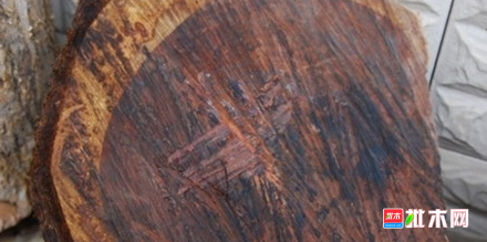 批木网 anywood.com