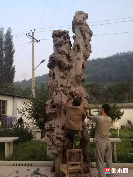 anywood.com   批木网