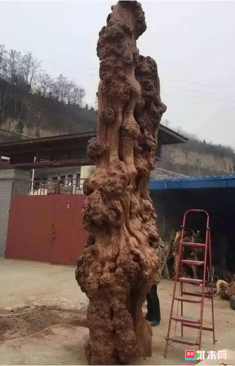 anywood.com   批木网