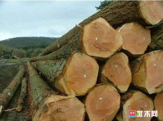 批木网 anywood.com