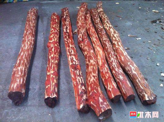批木网 anywood.com