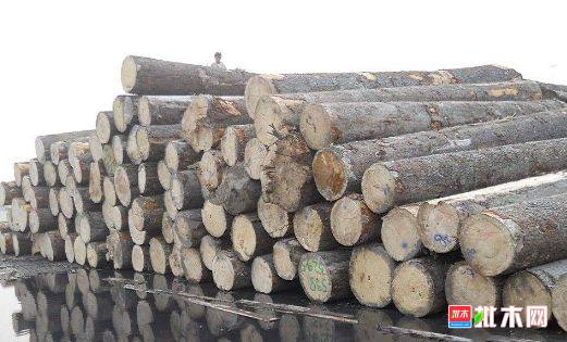 批木网 anywood.com