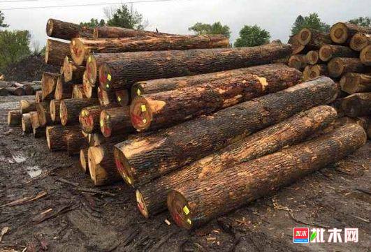 批木网 anywood.com