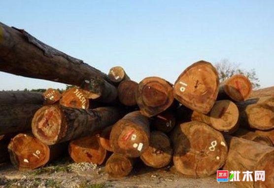批木网 anywood.com
