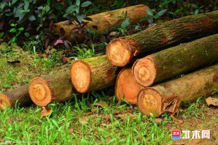 批木网 anywood.com