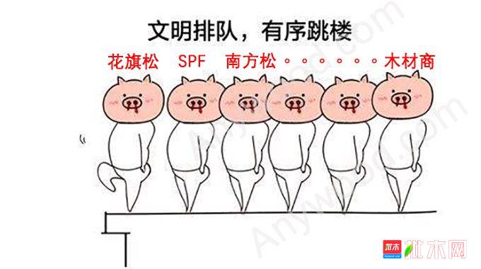 批木网-北美木材现货行情
