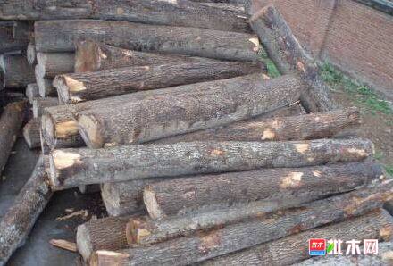 批木网 anywood.com