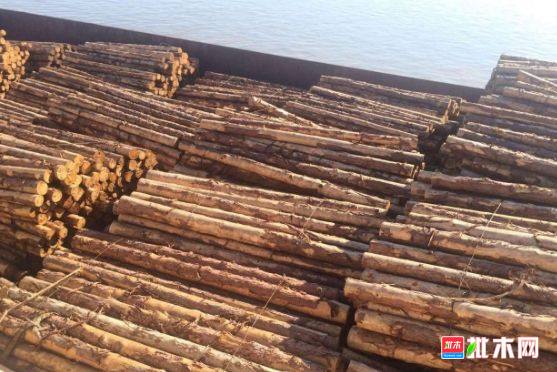批木网 anywood.com