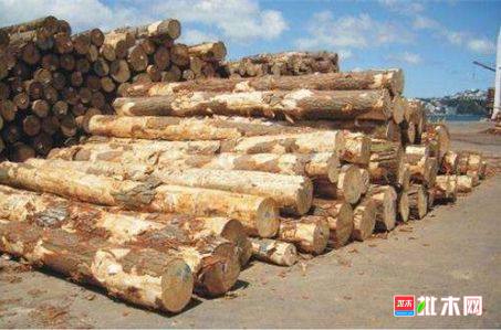 批木网 anywood.com