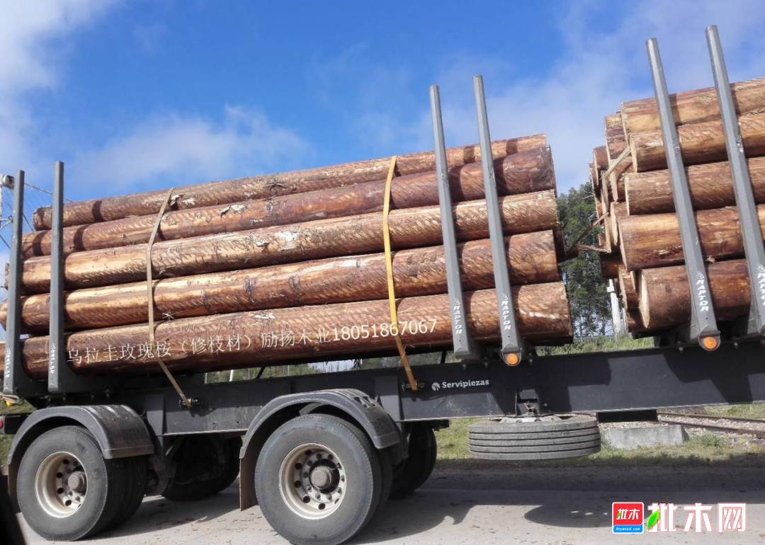 批木网 anywood.com