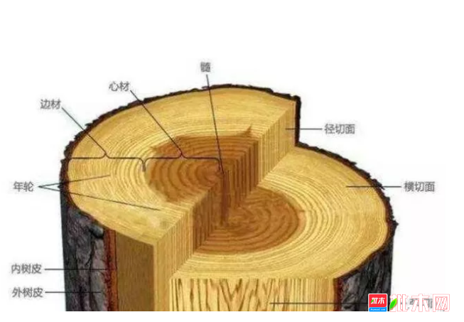 anywood.com