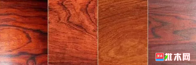 anywood.com