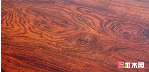 anywood.com