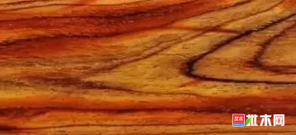 anywood.com