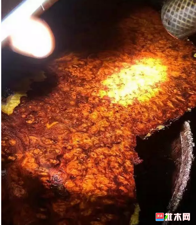 anywood.com