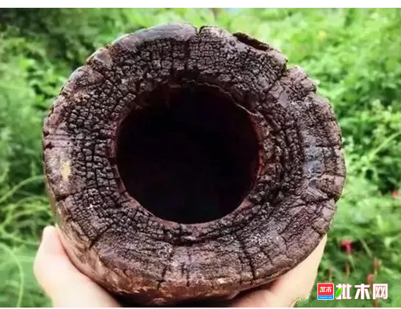anywood.com