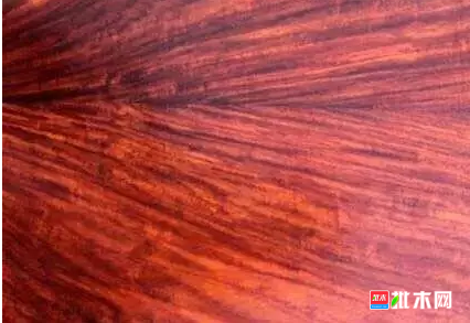 anywood.com