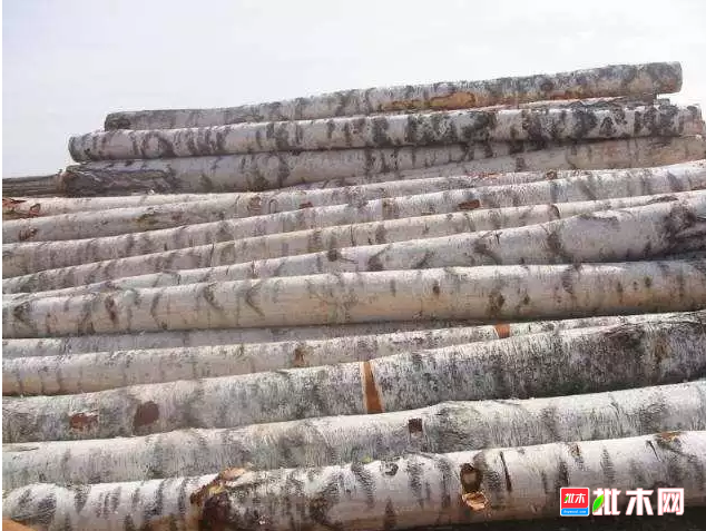 anywood.com